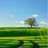 c语‌言‍教‍程​软‍件​